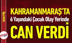 Kamyonetin Çarptığı 6 Yaşındaki Çocuk Olay Yerinde Can Verdi