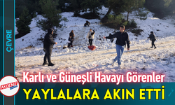 Karlı ve Güneşli Havayı Görenler Yaylalara Akın Etti!