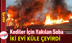 Kediler İçin Yakılan Soba İki Evi Küle Çevirdi!