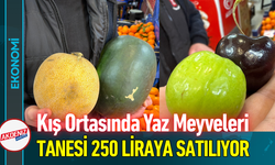 Kış Ortasında Yaz Meyveleri: Tanesi 250 Liraya Satılıyor!