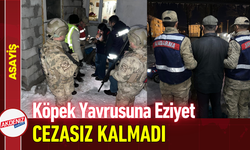 Köpek Yavrusuna Eziyet Cezasız Kalmadı!