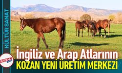Kozan Milyonluk İngiliz ve Arap Atlarının Yetişme Alanı