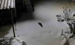 Kulp’ta Beyaz Esaret: Artık Evlerin Dibine Geldiler