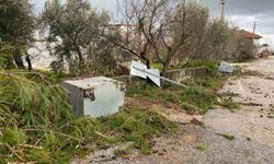 Manavgat'ta Hortum: Afet Üç Mahalleyi Vurdu