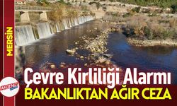 Mersin'de Göksu Nehri'ni Karartan Tesise Milyonluk Ceza