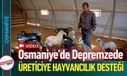 Osmaniye'de Depremzede Üreticiye Hayvancılık Desteği