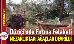 Osmaniye’de Fırtına Felaketi: Ağaçlar Köklerinden Söküldü