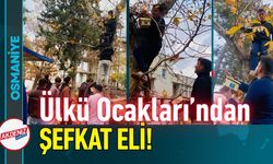 Osmaniye'de "Gök Kubbe" Emanetlerine Şefkat Eli