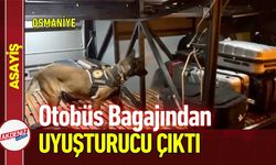 Osmaniye'de Otobüs Bagajında Yasaklı Madde Bulundu!