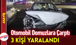 Otomobil Domuzlara Çarptı: 3 Kişi Yaralandı!
