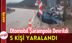 Otomobil Şarampole Devrildi: 5 Kişi Yaralandı!
