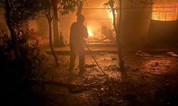 Reyhanlı'da Alevlerin Arasında Kalan Kediyi İtfaiye Kurtardı