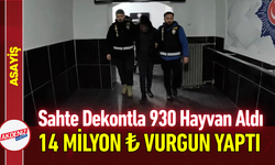 Sahte Dekontla 930 Hayvan Aldı, 14 Milyon ₺ Vurgun Yaptı!