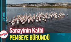 Sanayinin Kalbi Pembeye Büründü!