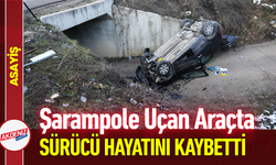 Şarampole Uçan Araçta Sürücü Hayatını Kaybetti!