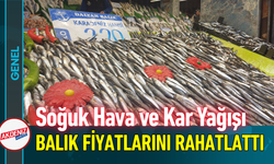 Soğuk Hava ve Kar Yağışı Balık Fiyatlarını Rahatlattı!