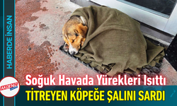Soğuk Havada Yürekleri Isıttı: Titreyen Köpeğe Şalını Sardı!