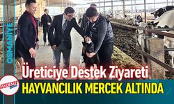 Osmaniye’ Sumbas'ta Hayvancılık Mercek Altında!