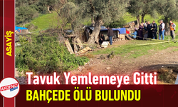 Tavuk Yemlemeye Gitti, Bahçede Ölü Bulundu!