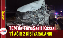 TEM'de Ters Şerit Kazası: 1’i Ağır 2 Kişi Yaralandı!