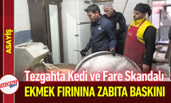 Tezgahta Kedi ve Fare Skandalı: Ekmek Fırınına Baskın!