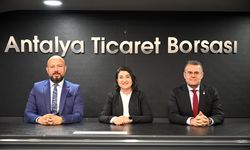 Tohumda İsrail Efsanesi Bitiyor: Türkiye İhracatçı Konumda