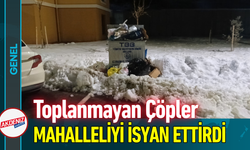 Toplanmayan Çöpler Mahalleliyi İsyan Ettirdi!