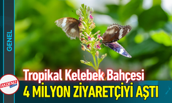 Tropikal Kelebek Bahçesi 4 Milyon Ziyaretçiyi Aştı!