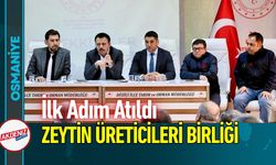 Osmaniye Düziçi'nde Zeytin Üreticileri Birlik Kuruyor