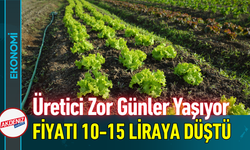 Üretici Zor Günler Yaşıyor: Fiyatı 10-15 Liraya Düştü!
