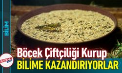 Üretilen Böcekler Bilim Dünyasına Katkı Sağlıyor