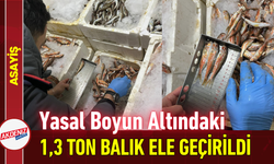 Yasal Boyun Altındaki 1,3 Ton Balık Ele Geçirildi!