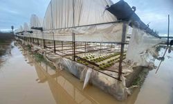 Aksu'da Sel Kabusu Bitmiyor: 20 Günde Dördüncü Baskın!