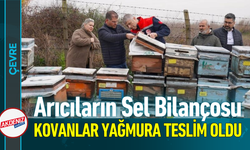 Arıcıların Sel Bilançosu: Kovanlar Yağmura Teslim Oldu!