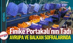 Coğrafi İşaretli Finike Portakalı'nda Ek Mesai