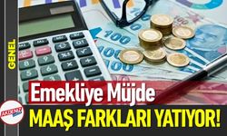 Emekli Maaş Farkı Ödeme Takvimi Belli Oldu: İşte Tarihler