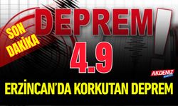 Erzincan Kemah’ta 4.9 Büyüklüğünde Deprem