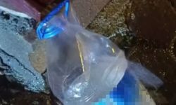 Eskişehir’de Ani Su Kesintisi Velileri İsyan Ettirdi