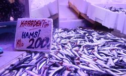 Hamsi Yeniden Tezgahlardaki Tahtına Oturdu!