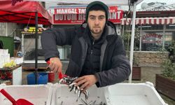 Hamside Yolun Sonu: Tezgahlarda Sezon Değişimi