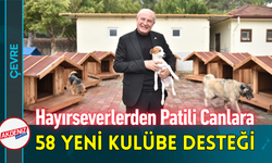 Hayırseverlerden Patili Canlara 58 Yeni Kulübe Desteği!