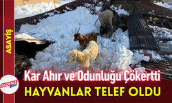 Kar, Ahır ve Odunluğu Çökertti: 2 Hayvan Telef Oldu!