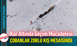 Kar Altında Geçim Mücadelesi: Çobanlar Zorlu Kış Mesaisinde!