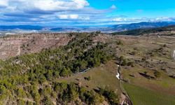 Kastamonu Yaylaları Karların Erimesiyle Yeşile Büründü