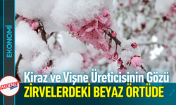 Kiraz ve Vişne Üreticisinin Gözü Zirvelerdeki Beyaz Örtüde!