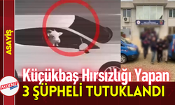 Küçükbaş Hırsızlığı Yapan 3 Şüpheli Tutuklandı!