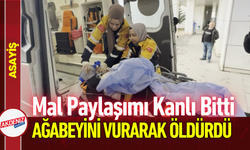 Mal Paylaşımı Kanlı Bitti: Ağabeyini Vurarak Öldürdü!