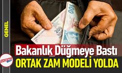 Emekli Maaşlarında Köklü Değişim: Ortak Zam Modeli