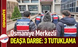 Osmaniye Merkezli DEAŞ Operasyonu: 3 Tutuklama