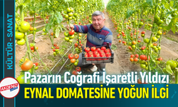 Pazarın Coğrafi İşaretli Yıldızı: Eynal Domatesine Yoğun İlgi!